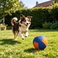 thumbnail image 4 of Dog Calming Ball Inflatable Play Ball Large Breed Dogs Interactive Push Chase Exercise Separation Anxiety Relief Boredom Reduction Training Yard Home Play for Active Dogs Backyard Yard Chase Game, 4 of 6