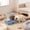 Blue, variant on Dvkptbk plastic bowl Cats Bowl Two In One Drinking Water Dog Water Bowl Rice Bowl Pet Bowl Drinking Water Feeding All One Suitable for Dogs and Cats To Live and Drink Water