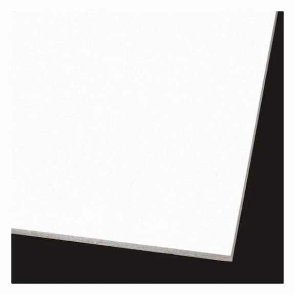 Armstrong Ceiling Tile,48 in L,24 in W,PK6 1938A