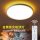 thumbnail image 1 of Lámpara Techo LED Brillo Flushbonading Interior para Baño (D), 1 of 2