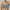 Gray, variant on Jacenvly Bralette for Women Clothes Tube Tops,Large Sports Bra Double Layer Seamless Yoga Running Bra Daily Bra