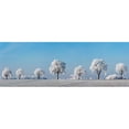 thumbnail image 3 of Krahmer, Frank 18x9 Black Modern Framed Museum Art Print Titled - Alley tree with frost, Bavaria, Germany, 3 of 5