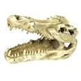 thumbnail image 6 of Aquarium Decorations Environments Skull Cave Resin Artificial Skeleton Head, 6 of 7
