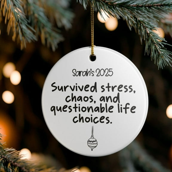 Personalized Humorous Ceramic Ornament for 2025, Custom Funny Year in Review Holiday Keepsake, Sarcastic Surviving the Year Christmas Bauble