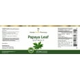 thumbnail image 5 of Florida Herbal Pharmacy, Papaya Leaf Extract Capsules 10:1 (120 Capsules), 5 of 6