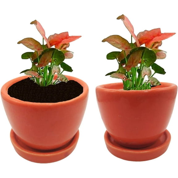 India Meets India Cup Plate Ceramic Flower Pot Planter Indoor Outdoor Planter 3 Inch Handicraft by Awarded Indian Artisan (Red & Orange Set of 2)