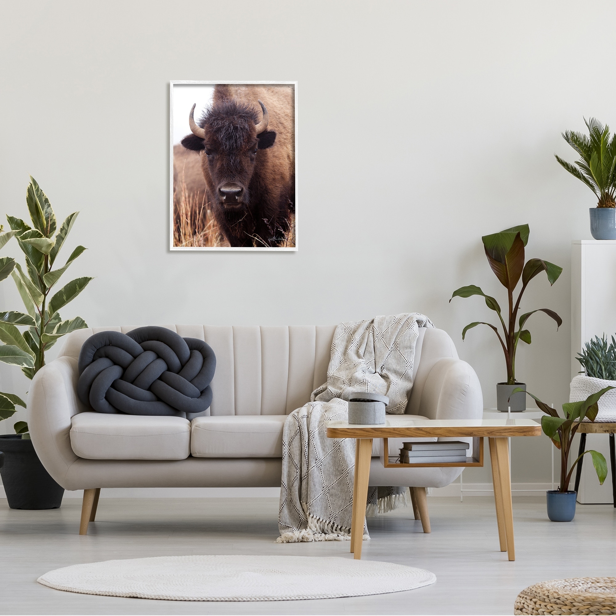 Stupell Industries Tall Grass Bison Portrait Country Cattle Autumn Photography, 24 x 30,Design by Debra Van Swearingen