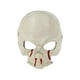 thumbnail image 5 of Máscara de de Halloween Disfraz Decorativo Prop Cubierta Facial Scary Horror Skeleton Máscaras para Adultos Unisex Hombres Mujeres Festivales Yuyangstore Portada de Halloween, 5 of 8