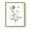 Gold, variant on Wild Poppy Sketch Framed Print in Pink Solid Wood 8 x 10 Framed Print