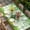 Green Gold LightGreen, variant on St. Patrick's Day Table Cloths for 8 Foot Rectangle Tables, Farmhouse Green Boots Daisy Clovers Patio Waterproof Elastic Fitted Tablecloths, Washable Rectangular Table Cover for Camping