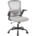 thumbnail image 1 of Ergonomic Office Chair with Lumbar Support, Mesh High Back Rolling Computer Chair for Desk, Comfy Flip-up Arms Chair for Home Office, Adjustable Computer Desk Chair for Work, Study, Game, Grey, 1 of 8