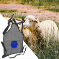thumbnail image 2 of Goat AntiReproduction Apron – Apron to Prevent Sheep Mating Breeding Tool for Prevention, Access to Breeding – Animal Accessories in Blue, 2 of 5