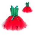 thumbnail image 2 of EnJoCho Girls Watermelon Tutu Dress with Mesh Tulle Skirt - Halloween Dress Set for Role Play, Dance Recital, Festive Celebration, 2 of 8
