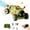 Dual control-green, variant on Gesture Sensing RC Stunt Car Remote Control Toys with Sound of Insects,LED,Spray and Drift,RC Toys for Kids Boys Girls Christmas Birthday Gifts