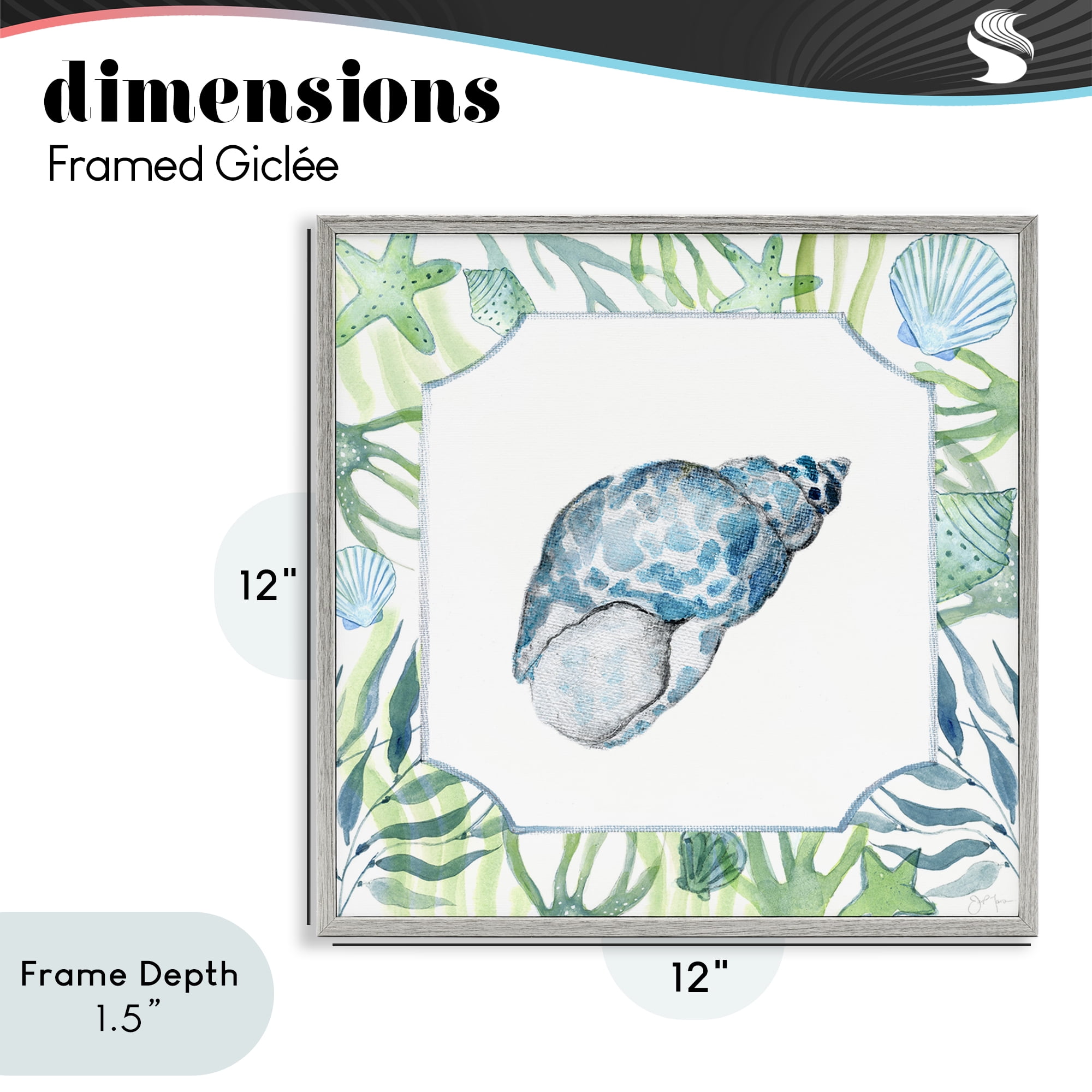 Stupell Industries Spotted Cowrie with Seaweed Gray Framed Giclee Art, design by Janet Tava