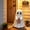 A, variant on Halloween Coke Ghost Decor, 7.87in Cute Ghost Holding Coke, Spooky Beverage Holder Figurine, Halloween Decorations For Tabletop, Party Decor & Office & Desk Display