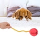 thumbnail image 5 of Bola dispensadora de comida para perros con forma cónica con cuerda de algodón, juguete para masticar para limpiar los dientes de los perros para perros pequeños y grandes (rojo), 5 of 5