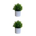 thumbnail image 1 of Bewildely 4 paquetes/lote fácil de limpiar planta falsa solución de bajo mantenimiento para bonsái de hoja interior o exterior Type2 NO2, 1 of 6