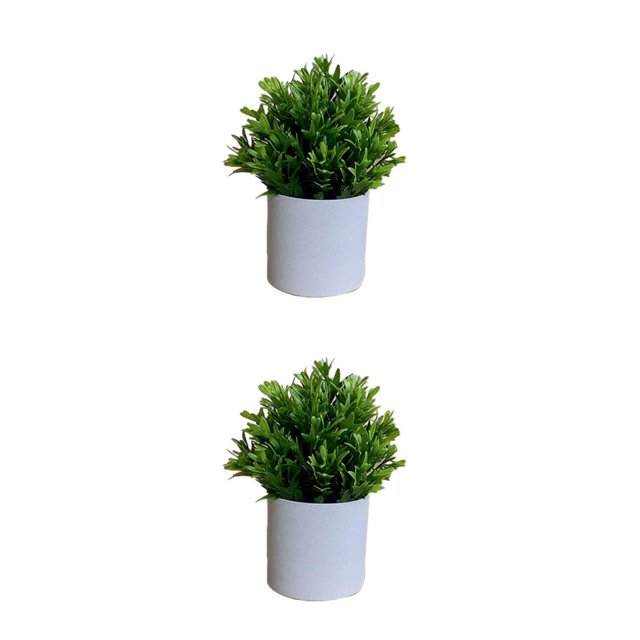 Bewildely 4 paquetes/lote fácil de limpiar planta falsa solución de bajo mantenimiento para bonsái de hoja interior o exterior Type2 NO2
