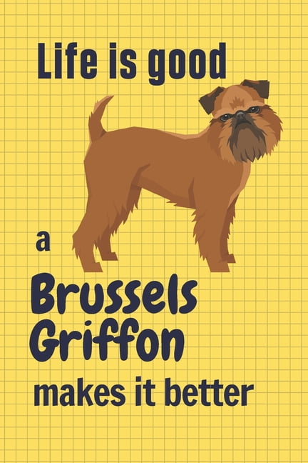 Billy Brussels Griffon Puppy in My Pocket Series 6 