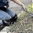 thumbnail image 3 of Gardening Knee Pads Garden Knee Protectors Protective Cushion_Perfect Gift, 3 of 4