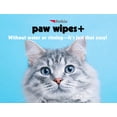 thumbnail image 4 of Paw Wipes Petkin PawWipes Plus Protector de bálsamo para patas, 100 unidades, 4 of 7