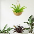 thumbnail image 4 of Maceta Colgante de Hierro shamjiam Cesta colgante Decorativa para Plantas, 4 of 8