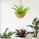 thumbnail image 4 of Colgante de Hierro, Decorativa para Plantas para hogar, Planta Colgante Negra Pequeña+ Colgante para Flores, de Hierro Decor Gloria Cesta colgante, 4 of 9