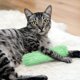 thumbnail image 3 of 3 piezas de juguete interactivo para dientes de gato con menta de gato y almohada arrugada de peluche para gatos de interior, gatitos, rasguños, masticación, rechinamiento de dientes (verde, 3 of 4