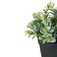 thumbnail image 4 of Northlight 10" Green Artificial Melia Azedarach Plant in Black Pot, 4 of 5