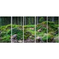 thumbnail image 2 of Forêt Profonde Sauvage Rochers et Collines, 2 of 3
