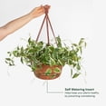 thumbnail image 2 of Bloem Dura Cotta 12" Terra Cotta Round Self Watering Hanging Basket Planter with Drainage with Macrame Cord Included, 2 of 6