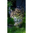 thumbnail image 2 of Richardson, Larry 15x24 White Modern Wood Framed Museum Art Print Titled - An ocelot at a local zoo, 2 of 4