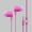 Pink, variant on High Definition Sound 3.5mm Stereo Earbuds/ Headphone for BLU Grand M2 (2018), Advance L4, Studio G4, C5, C4 (Pink) - w/ Mic + MND Stylus