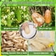 thumbnail image 4 of Esponjas de Naturales Orgánicas para Baño y Ducha, Exfoliantes para Hombres, Mujeres y Adultos, Paquete de 6., 4 of 5