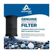 Alexapure Pro Filter Replacement 2-Pack, Black