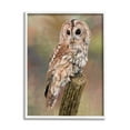thumbnail image 4 of Stupell Industries Brown Tawny Owl Perched Intricate Woodland Wildlife Painting Painting White Framed Art Print Wall Art, Design by David Stribbling, 4 of 5