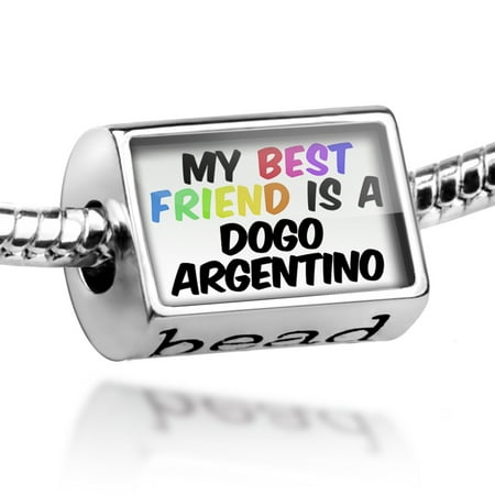 Bead My best Friend a Dogo Argentino Dog from Argentina Charm Fits All European