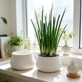 thumbnail image 3 of Hydroponic Garlic & Chives Growing Kit – 3D Printed Planter Box, Soil‑Free Indoor Herb Garden, 3 of 7