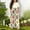 White, variant on Fatuov Kids Girls Vintage Print Dress Comfortable Long Dress with Pocket Loose Fit Crew Neck Summer Dress for Beach Size 9 Years