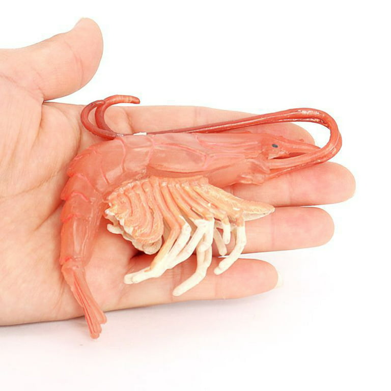 Realistic Shrimp Figurine Cognitive Teaching Aid and Simulation Toy for  Early Education - Perfect Children's Birthday Gift for Pretend Play and