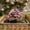 Purple, variant on Purple Artificial Violets 17.7in Fake Flowers for Outdoor Garden Home Decor UV Resistant Faux Plants