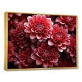 thumbnail image 2 of Designart "Elegant Blooms Of Crimson Mums I" Mums Floater Framed Canvas Wall Art, 2 of 5