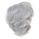thumbnail image 3 of Peluca Rizada de Muñeca de Pelo Corto de Moda para º Muñeco Gris Sunnimix Peluca rizada de las muñecas, 3 of 8