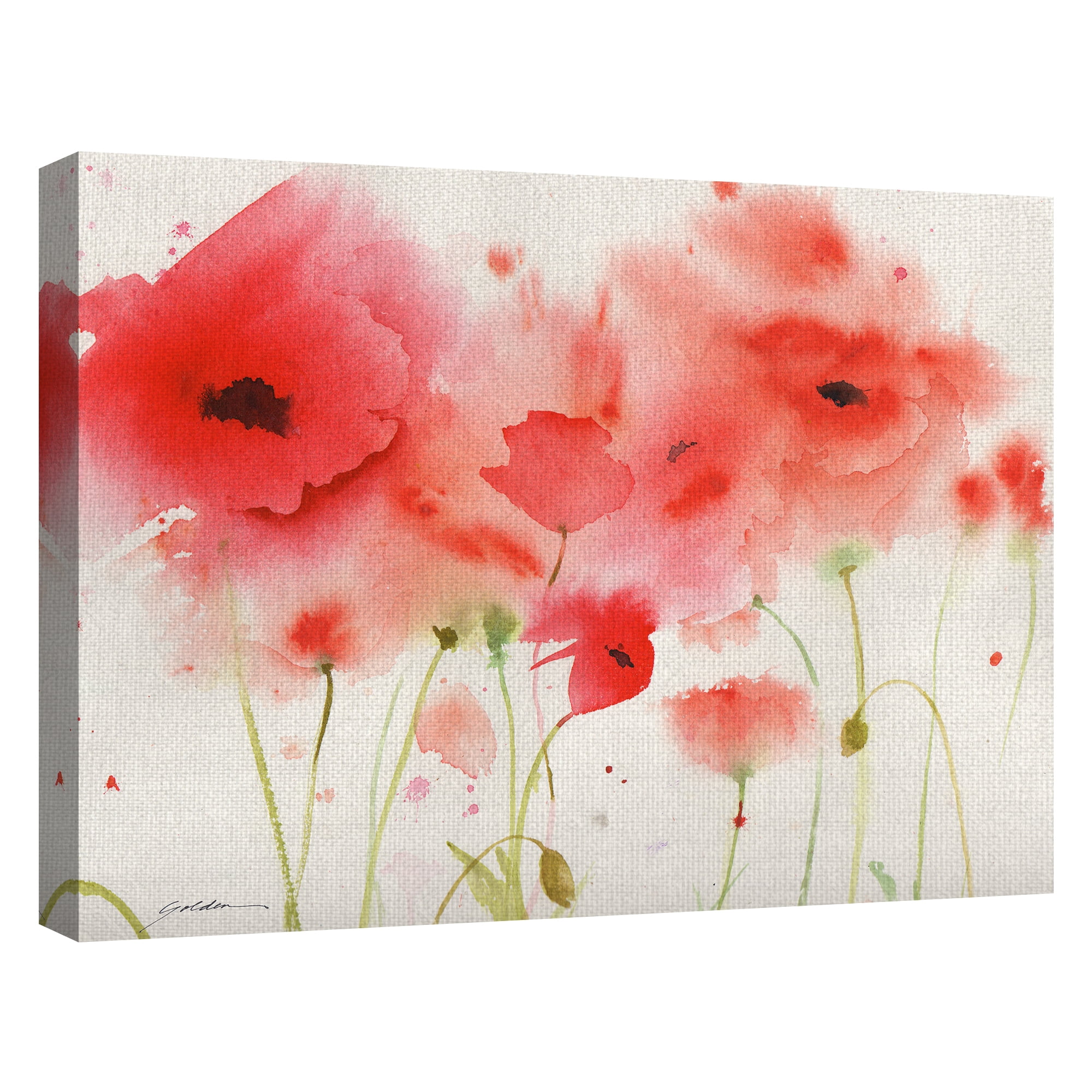 Masterpiece Art Gallery Red Poppies by Sheila Golden Canvas Art Print 30" x 40"
