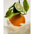 thumbnail image 5 of Perfume Maison Louis Marie No.12 Bousval Eau de Parfum, 9 ml, 5 of 5