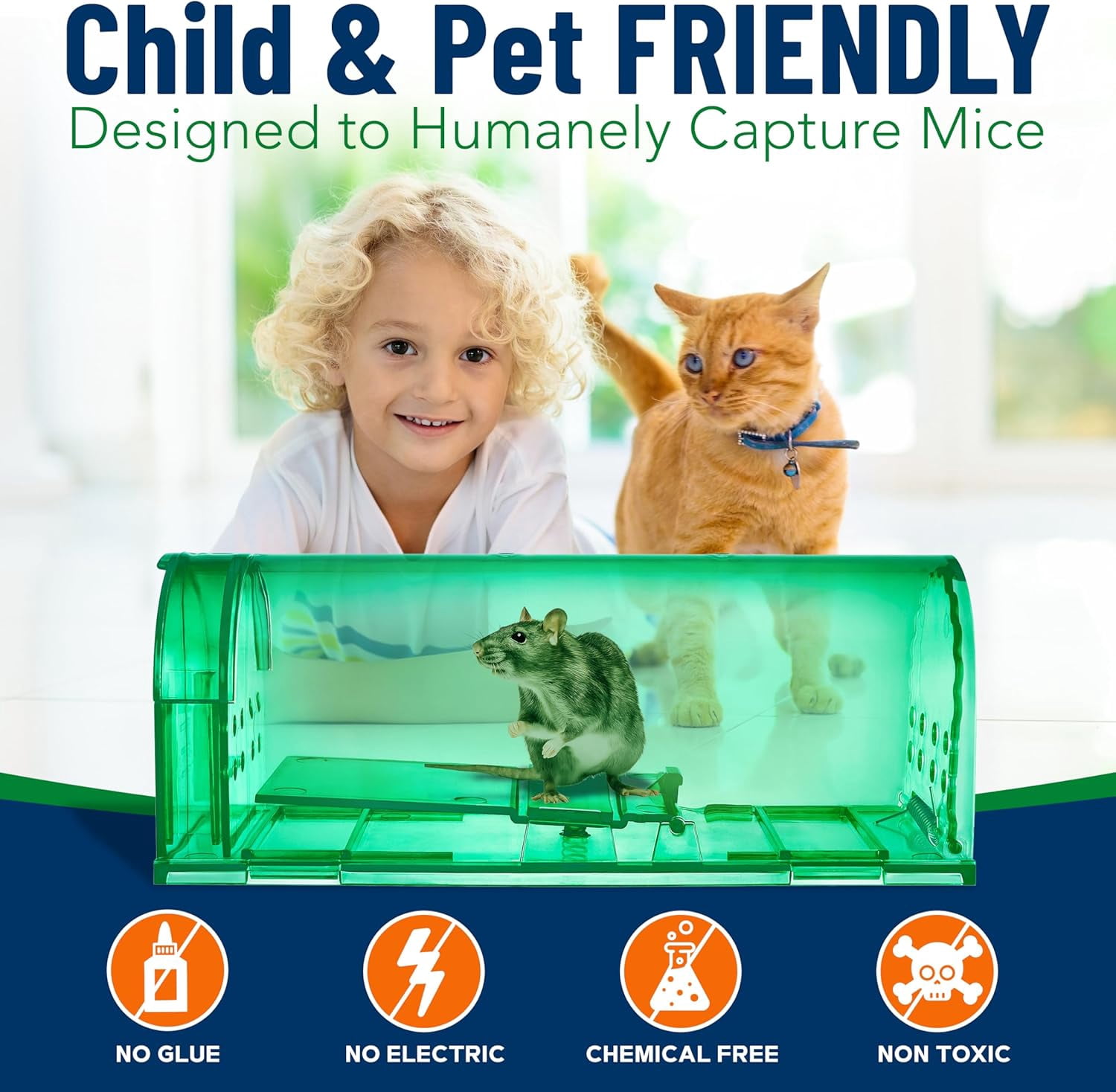 Campior Humane No-Kill Mouse Trap, Large, Indoor, Child & Pet Safe, Easy to Clean, 1-Pack, Green