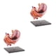 thumbnail image 1 of Vogacara 2:3 Human Human Stomach Pancreas with Model Study Internal Organs Anatomy Tipo 1 2Conjunto, 1 of 1