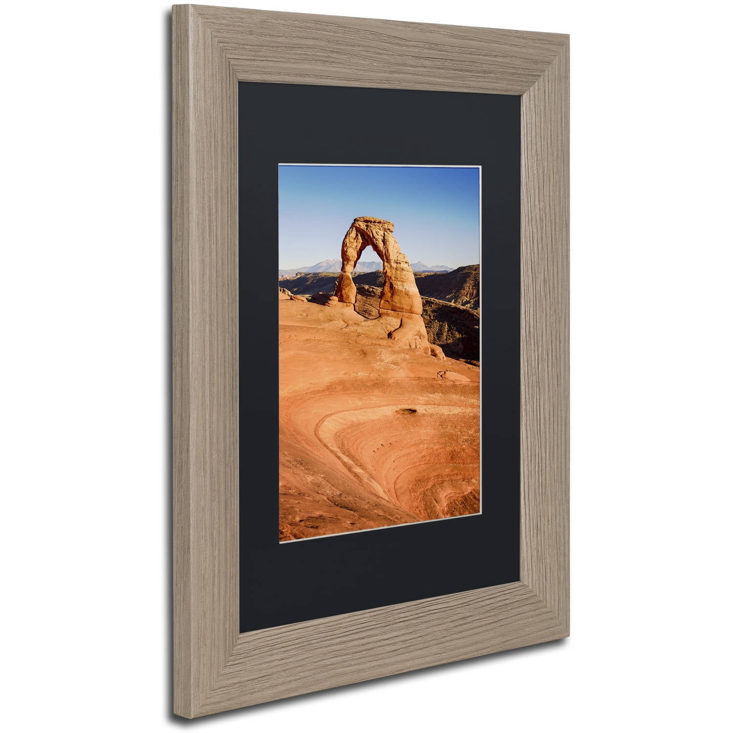 Trademark Fine Art "Delicate Arch" Canvas Art by Michael Blanchette Photography Black Matte, Birch Frame