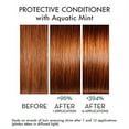 thumbnail image 2 of KLORANE Protective Conditioner with Aquatic Mint 5oz - New, 2 of 3